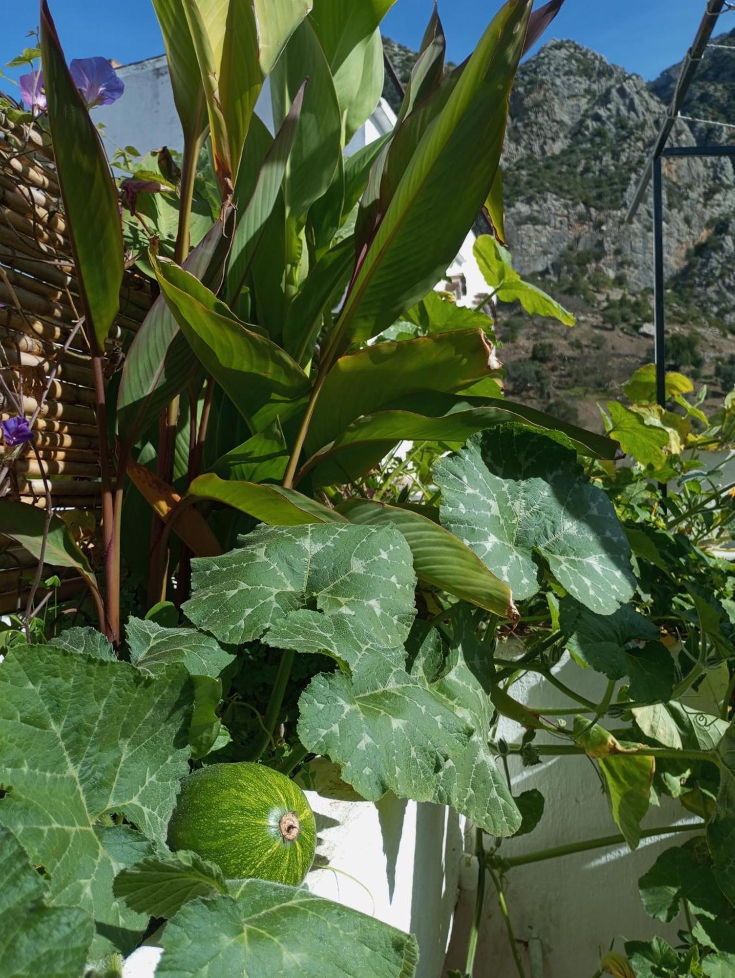 Dar Sbaa Bed and Breakfast Chefchaouen Eksteriør billede